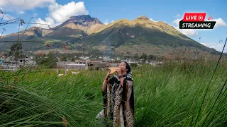 NATIVE MUSIC OF THE ANDES 50 | LIVE - STREAM | Ecuador - Imbabura - Otavalo | DAVID MORALES SK