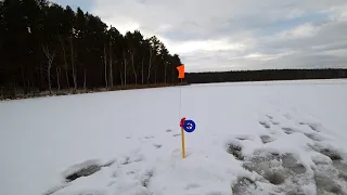 ЗИМНЯЯ РЫБАЛКА С ЖЕРЛИЦАМИ НА ЩУКУ! РАНО УТРОМ ВЫСТАВИЛИ ЖЕРЛИЦЫ И СТАЛИ ИСКАТЬ ОКУНЯ! ВОТ И ЗАГАР!