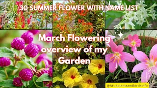30 Best Flowering Plants With Name List/Nonstop Flowering Plants/March 2024 Terrace Garden Overview