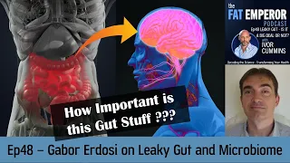 Ep48 Leaky Gut and Microbiome with GABOR ERDOSI - Are These a Big Deal in Health and Longevity???