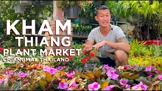 Gorgeous Common Plants Tour |  Kham Thiang Garden Market Chiangmai Thailand.