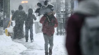 Powerful winter storm pummels eastern US, grounding thousands of flights • FRANCE 24 English