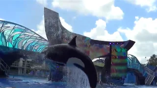 FLORIDA ORLANDO SEA WORLD Флорида Орландо Парк морских развлечений Шоу касаток