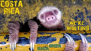 Costa Rica Vacation of a Lifetime - Travel Costa Rica NOW Custom Packages