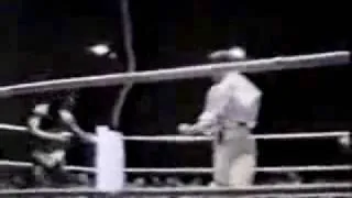 Wrestling (Luta Livre) vs Gracie Jiu Jitsu (Bjj)