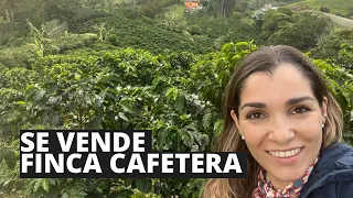 Finca cafetera en venta Salento Quindio 24 cuadras