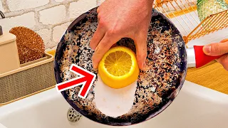 100% ALL-NATURAL CLEANING HACKS To Make Your Life Easier