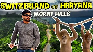 Morni Hills | Morni Hills tourist places | Morni Fort | Tikkar taal | Travel Guide| pintusinghvlogs