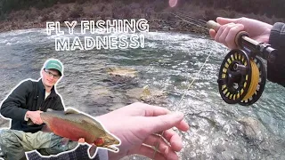 Fly Fishing A CRYSTAL CLEAR River For HUGE Rainbow Trout (New Zealand)