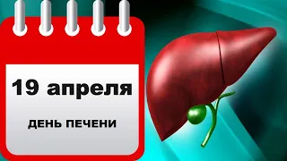 19 Апреля | Всемирный день печени | Медицинский календарь