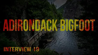 Bigfoot in the Adirondacks. Interview 19