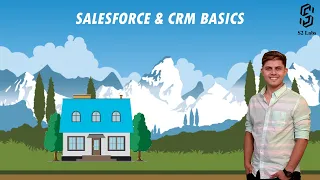 Salesforce & CRM Basics