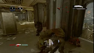 Literally my first gears 3 kill in 2019