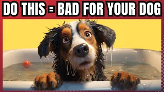 13 Harmful Things You Do To Your Dog Without Realizing It