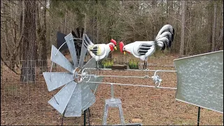 Cannon Farm - New Chicken Windmill - #Shorts