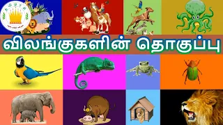 தமிழரசி-விலங்குகளின் தொகுப்பு|Learn Collection of animal Names video for kids & children|Tamilarasi