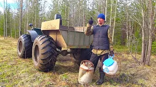 ЗАВОЖУ ВТОРУЮ ПРИМАНКУ НА МЕДВЕДЯ / ЗАЕЗЖАЮ В ТАЙГУ НА КАРАКАТЕ / УСТАНОВКА ПРИВАДЫ НА КОСОЛАПОГО.