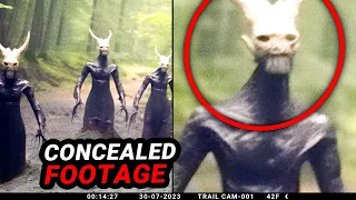 Shocking Trail Cam Discovery: Disturbing Encounters Recorded