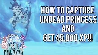 How To Capture Undead Princess and get 45,000xp! | World of Final Fantasy