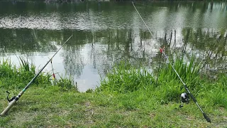 Ansitzangeln im Frühjahr am Teich...Mit Pose und Feeder auf Karpfen, Schleie und Co.