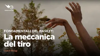 Fondamentali del basket: " La meccanica del tiro " | Coach Miyagi