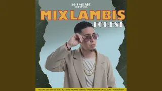 Mixlambis