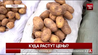 КУДА РАСТУТ ЦЕНЫ?