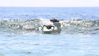 Surfing Illusion