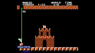 [TAS] Super Mario Bros. Frustration in 2:31.02