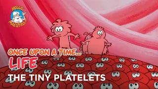 Once Upon a Time... Life - The tiny platelets - Hello Maestro