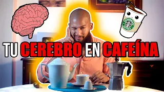 EFECTOS del CAFÉ en tu SALUD | BENEFICIOS y RIESGOS de la CAFEÍNA, ¡DOSIS MÁXIMA DIARIA!
