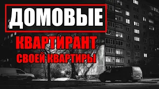 Страшные истории. ДОМОВЫЕ. Квартирант своей квартиры. Часть 10.