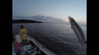Giant Sturgeon Nearly Jumps In The Boat Slaps Daughter Caught On GoPro Edisto Sc