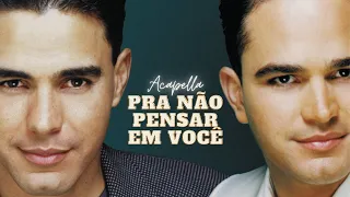 Pra Não Pensar em Você - Zezé Di Camargo e Luciano Acapella