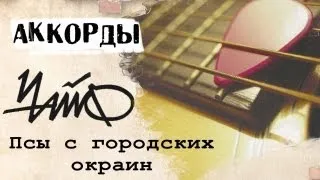 ЧАЙФ Псы с городских аккорды 🎸 кавер табы на гитаре как играть | pro-gitaru.ru