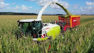 Mais hakselen met Claas Jaguar 950. Loonb.Sandee Onstwedde.