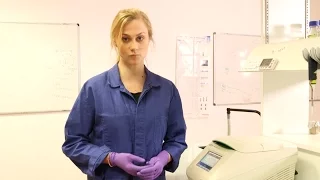 How to Set Up a PCR