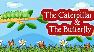 Short stories| The Caterpillar And The Butterfly | Short story in English#oneminutestory