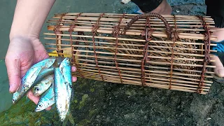 The Oldest Fish Trap | Tradition but works | Catch A lot of Fish