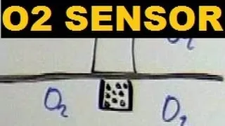 Oxygen Sensor - Explained