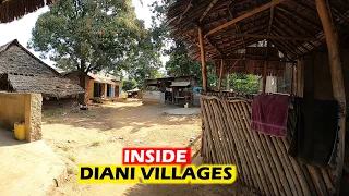 The Unexplored Diani: What They Don't Want You to See || Diani Vlog