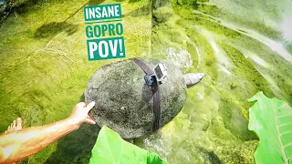 We strapped a GoPro on a Huge RIVER TURTLE!