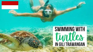 SWIMMING WITH TURTLES IN GILI TRAWANGAN!