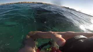 Snorkling at Desert Rose Resort in Hurghada Egypt - evening dive