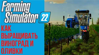 🍇 Всё о винограде и оливках в Farming Simulator 22