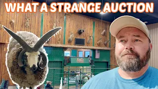 The Most BIZARRE AUCTION I've Ever Been To! Wait Until You See What I Bought!