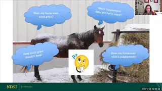 Winter Horse Management Webinar Series - #2 -  Feeding Hay During Winter Months