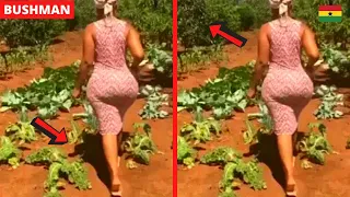 😂😂😂SHE DIDN'T EXPECT A MOVING PLANT! Ghana Bushman Prank 2022.