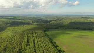 Оренбургская обл, окрестности деревни Чукари Ивановка.