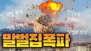 말벌집 폭파 제대로 된 영상 없어서 내가 찍음. Wasp Bombing